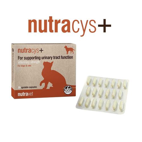 Nutracys+ Capsules