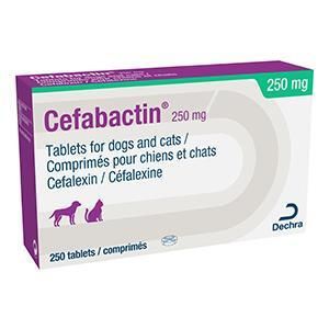 Cefabactin Tablets 250mg Cat/Dog