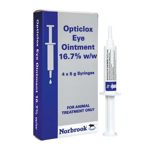 Opticlox Eye Oint 5g 16.7%