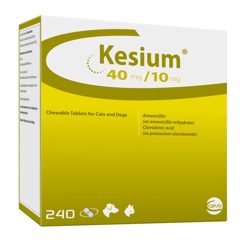 Kesium Chew Tablets 40/10mg