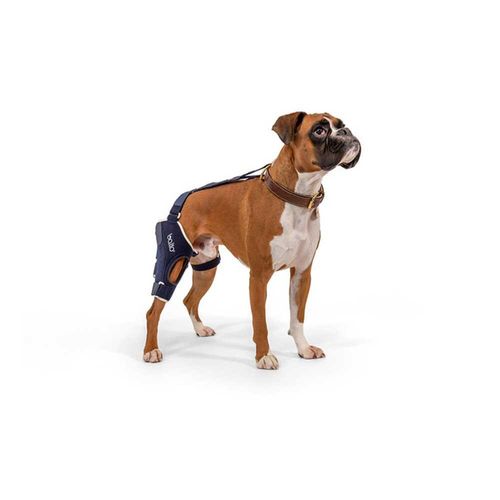Balto Jump Knee Brace Right Leg