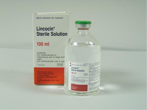 Lincocin Sterile Solution 100mg/ml Injection 100ml
