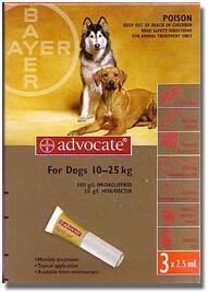 Advocate Dog 250 Large (10-25kg) — Each