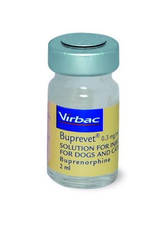 Buprevet Solution For Injection (CD Sch 3)