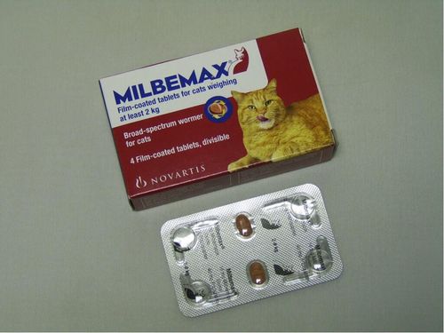 Milbemax Tasty Cat Con/Pack of