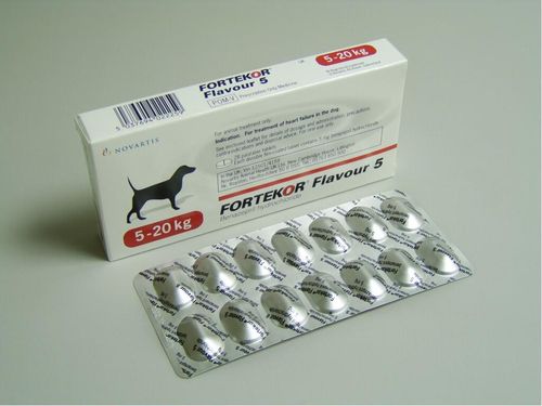 Fortekor Flavour Tablets 5mg — Each