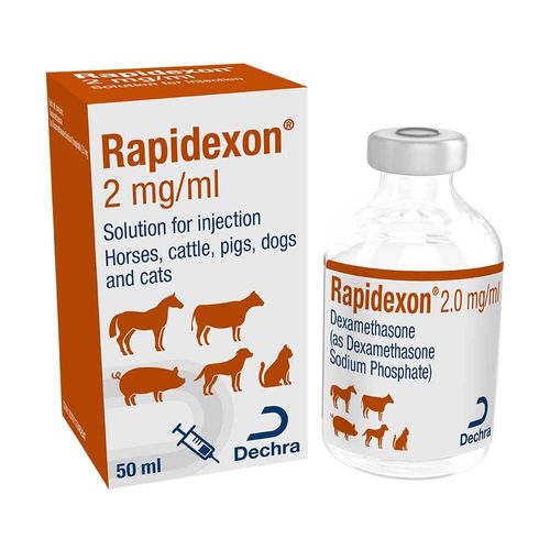 Rapidexon 2mg/ml Solution Fo Injection