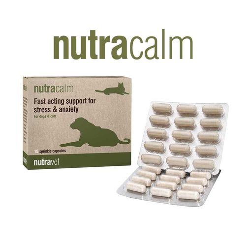 Nutracalm Capsules