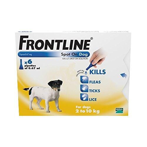 Frontline Spot On Small Dog - Avm GSL