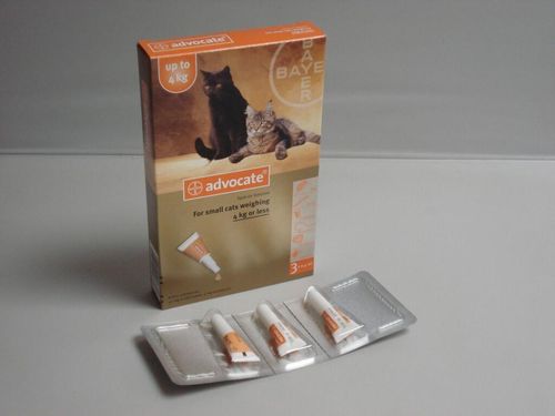 Advocate Cat 40 Small (<4kg) — Each