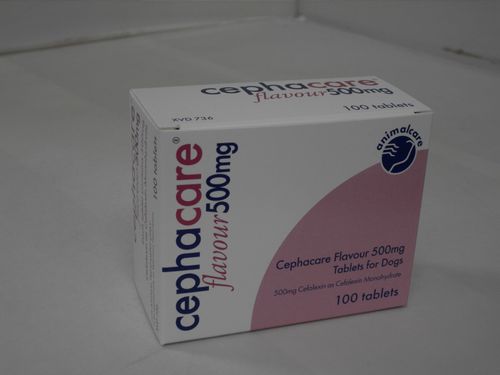 Cephacare Flav Tablets 500mg Dog