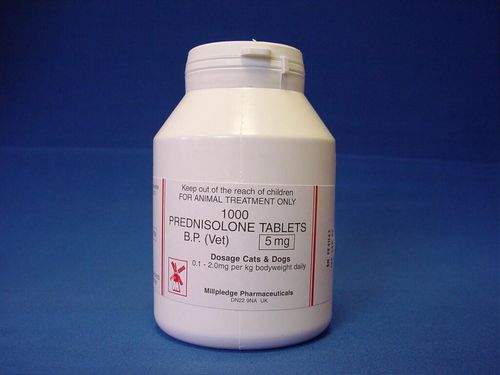Prednisolone Tablets Vet 5mg MP
