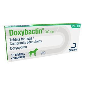 Doxybactin Tablets 200mg Dog