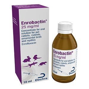 Enrobactin 25mg/ml Oral Solution 10ml