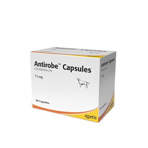 Antirobe Capsules 75mg Blister