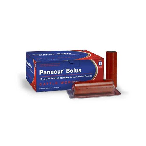Panacur Bolus Applicator EA