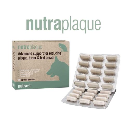 Nutraplaque Capsules