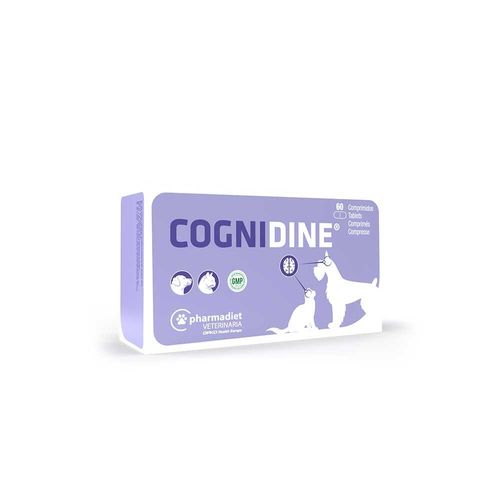 Cognidine Tablets Pack of 60