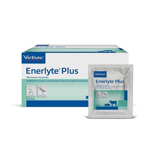 Enerlyte Plus E/Scent Sach 100g Pack of 24