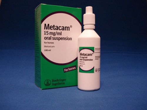 Metacam Oral Suspension (Horse) 15mg/ml