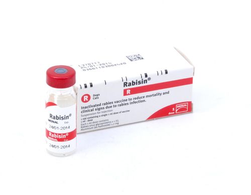 Rabisin Single Dose 1ml