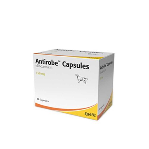 Antirobe Capsules 150mg Blister