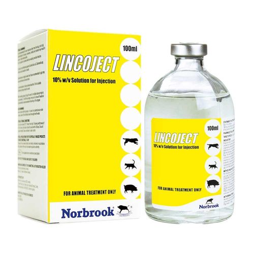 Lincoject Injection 10% 100ml
