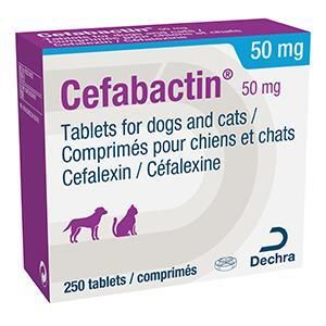 Cefabactin Tablets 50mg Cat/Dog