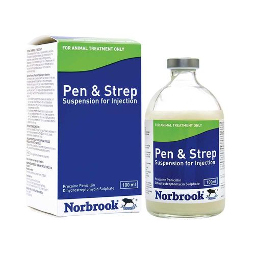 Penstrep Injection 100ml (Nor)