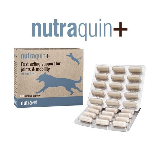 Nutraquin+ Capsules