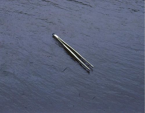 Forceps Epilation EA