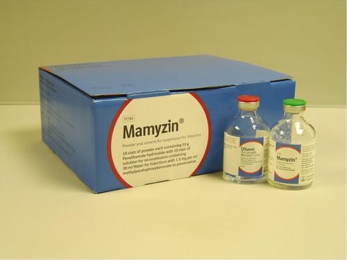 Mamyzin Injection + Diluent 10g Pack of 10