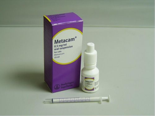 Metacam Oral Suspension 0.5mg/ml Cat+g/P