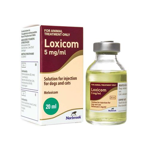 Loxicom Injection 5mg/ml (Cat/Dog)