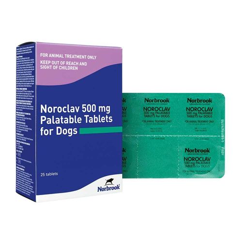 Noroclav Tablets 500mg Blister Pack of — Each