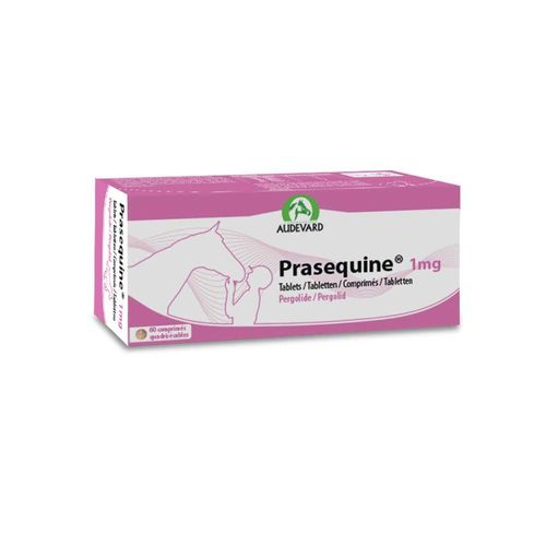 Prasequine Tablets 1mg Horse — Each