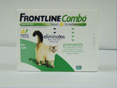 Frontline Combo Cat