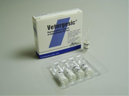 Vetergesic Ampoules 1ml (CD Sch 3)