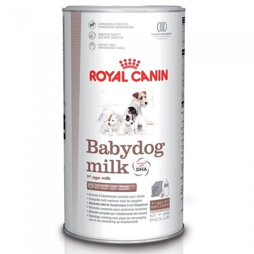 Rc Babydog Milk