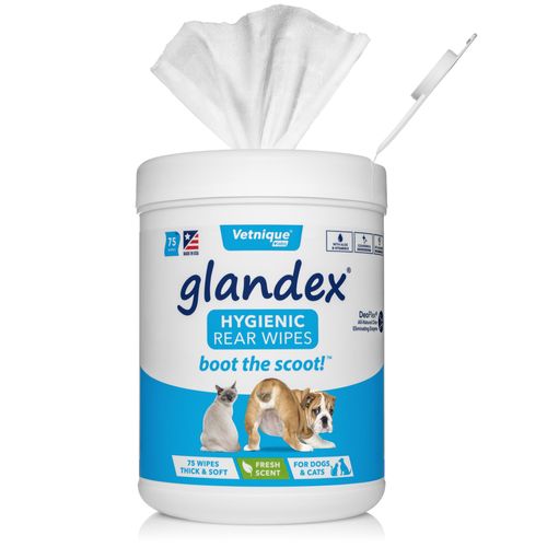Glandex Anal Pet Wipes Pack of 75