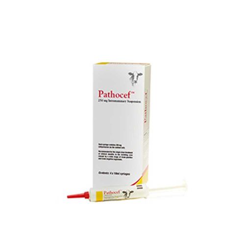 Pathocef Syr 10ml Pack of 4