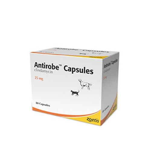 Antirobe Capsules 25mg Blister