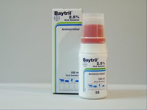 Baytril 2.5% Oral Solution 100ml
