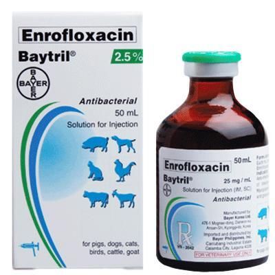 Baytril Injection 25mg/ml 50ml