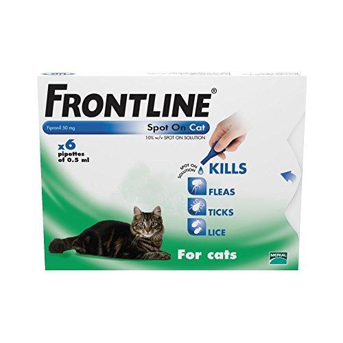 Frontline Spot On Cat - Avm GSL