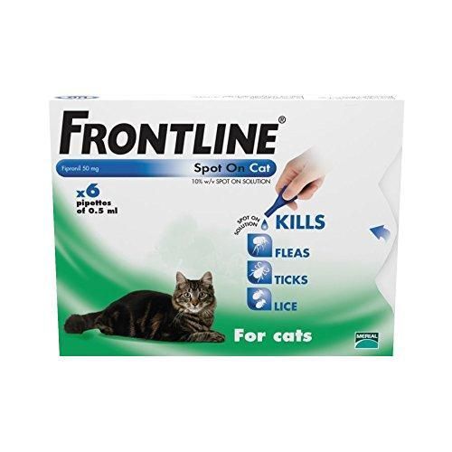 Frontline Spot On Cat - Avm GSL