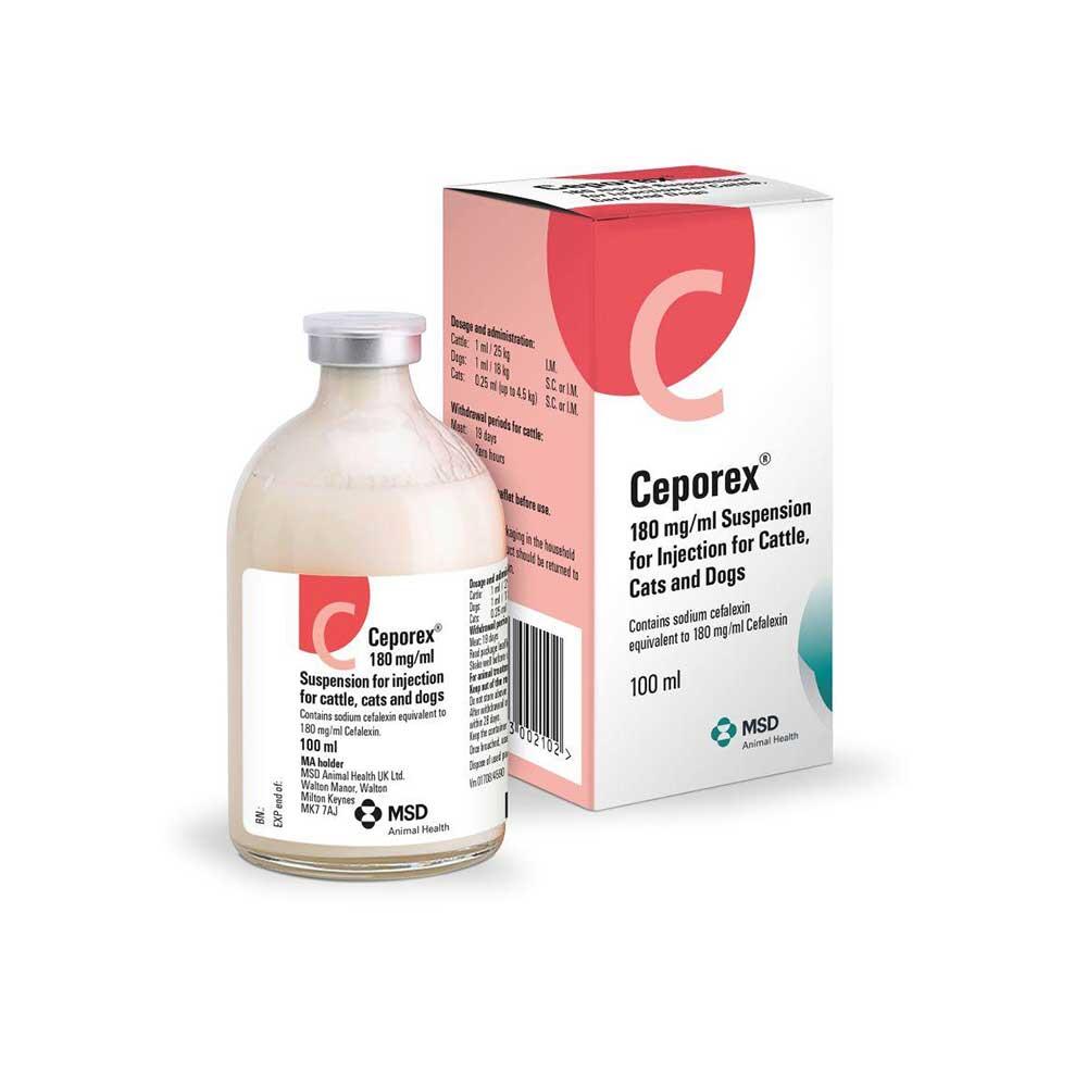 Ceporex Injection 1x100ml