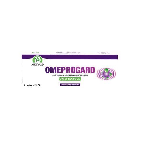 Omeprogard Oral Paste Syr 370mg/g — Each