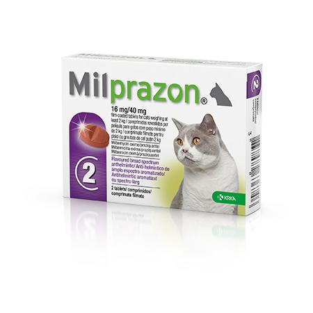 MILPRAZON CHEW TAB CAT 16/40MG - ONE TABLET