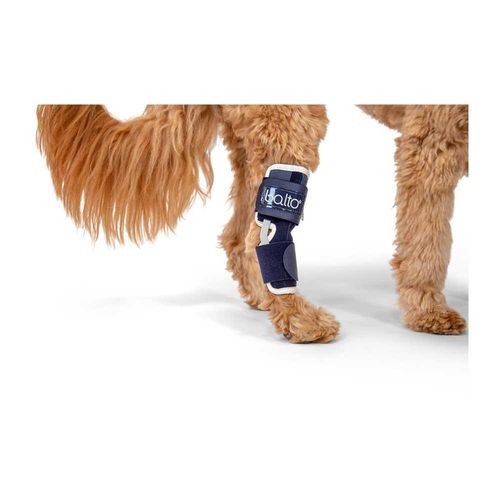 Balto Hock Brace